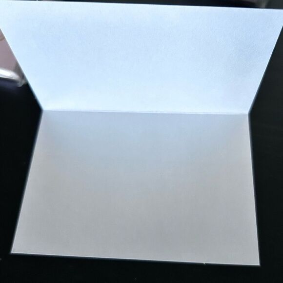 Place Cards (7) tags(1) ceramic trinket with flowers 10pc - Picture 9 of 9